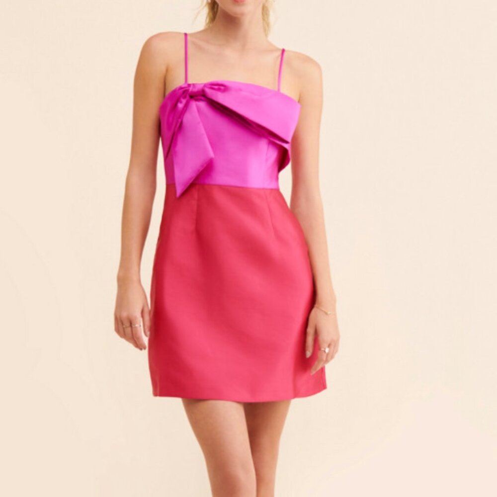 Hutch Two-Tone Pink Bow Mini Dress